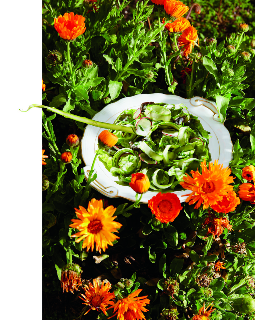 Gluten-Free Butter Lettuce and Shaved Asparagus Salad with Creamy Vinaigrette Recipe